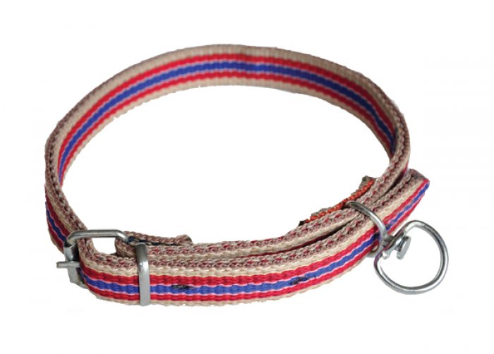 Kolon Köpek Tasması